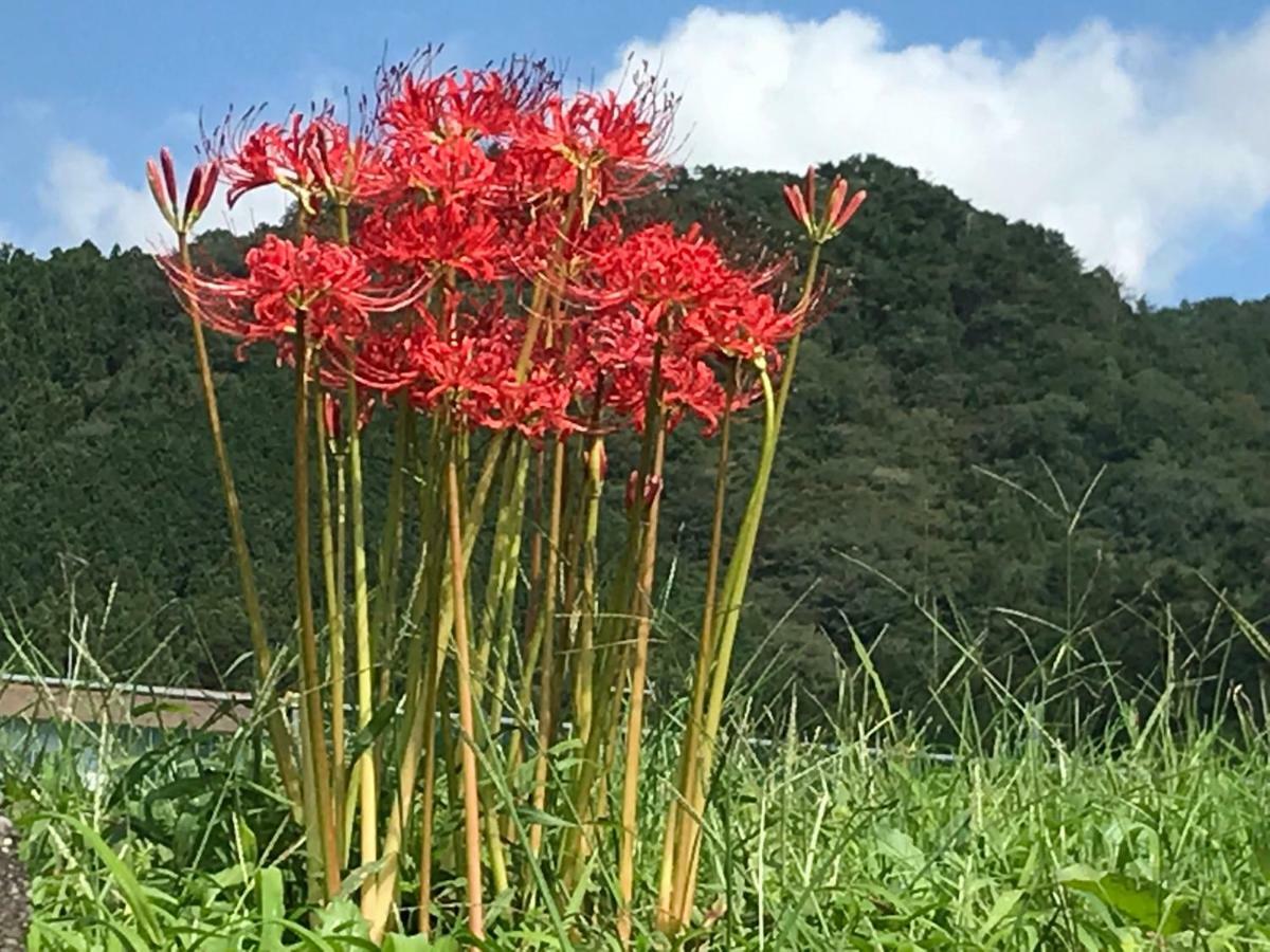 Kinugawa Club Hotel Kinsenkaku Никко Экстерьер фото